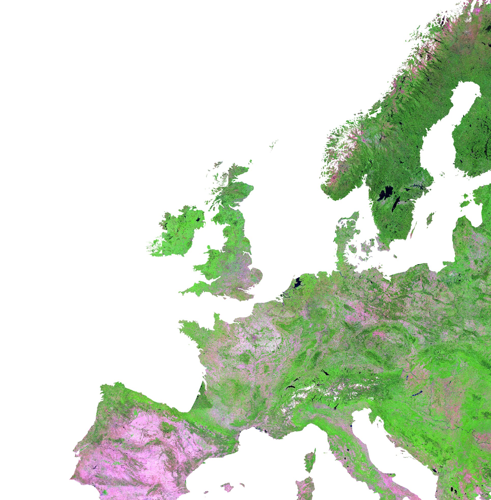 Disturbance Detection