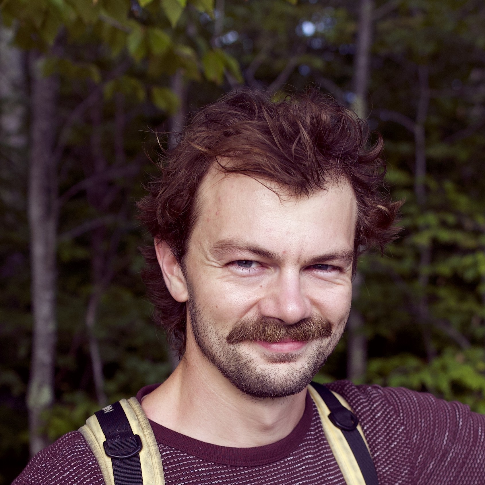 Otto Briner