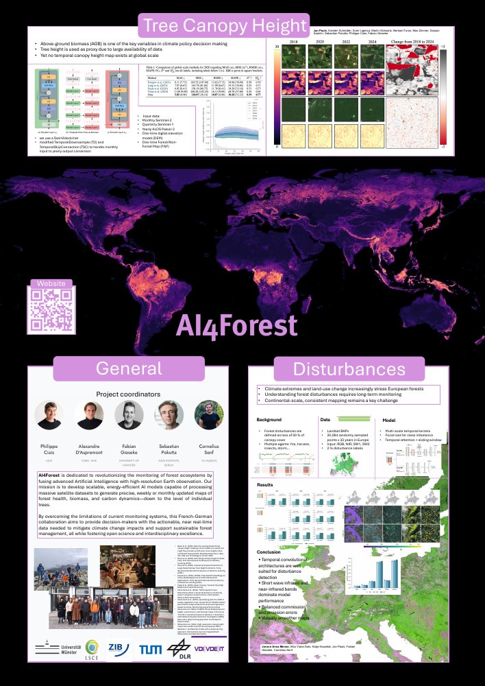 AI4Forest CDSC poster: Tree Canopy Height, project overview and forest disturbances